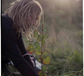 Joel | Groenbeheer